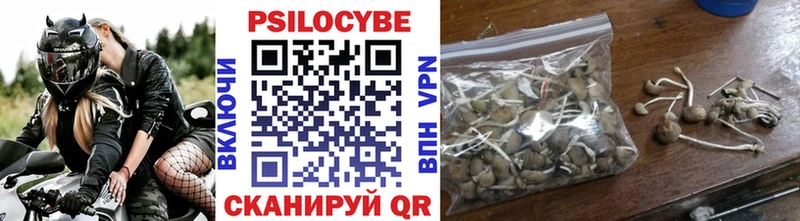 Купить  Майкоп  Галлюциногенные грибы Psilocybine cubensis 
